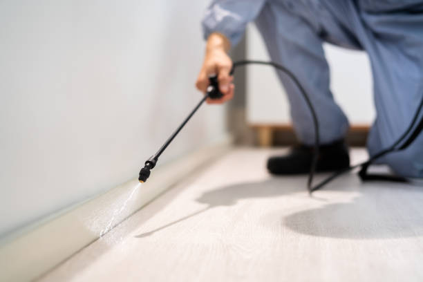 Licensed Pest Control service in Hudson Falls, NY - Show Me Pest Control