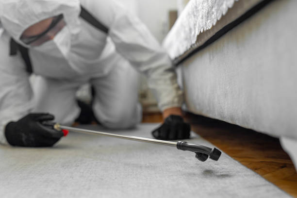 Professional Ant Control technician working in Hudson Falls, NY