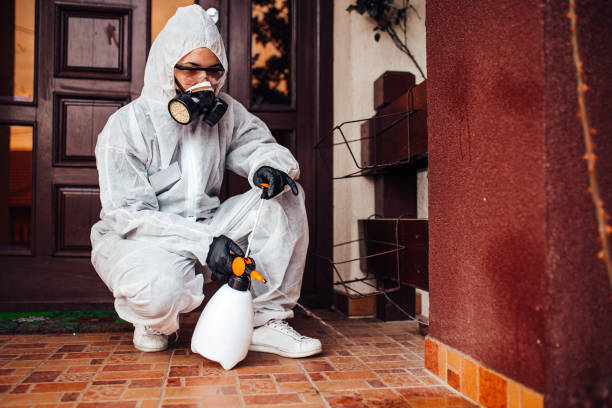 Reliable Ant Control contractor in Hudson Falls, NY by Show Me Pest Control